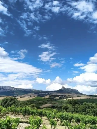 Rioja