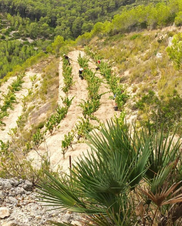 Winery